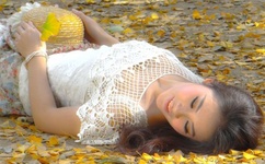 日本邪恶工番口H番大全